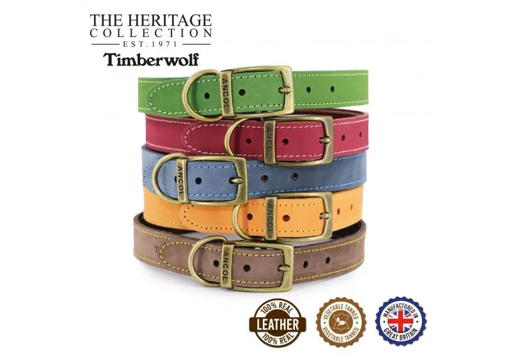 Ancol - Timberwolf Leather Collar - Mustard - Size 5 (39-48cm)