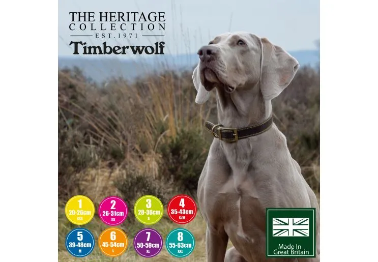 Ancol - Timberwolf Leather Collar - Mustard - Size 5 (39-48cm)