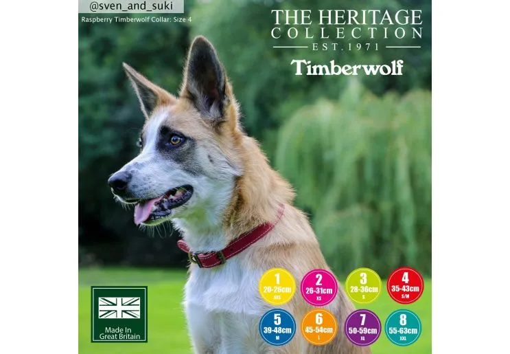 Ancol - Timberwolf Leather Collar - Mustard - Size 5 (39-48cm)
