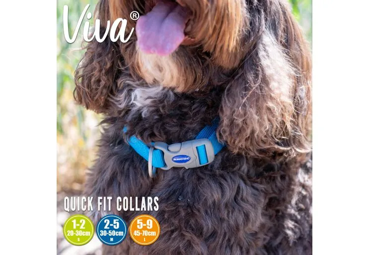 Ancol - Viva Nylon Adjustable Collar - Cyan - Small (30-50cm)