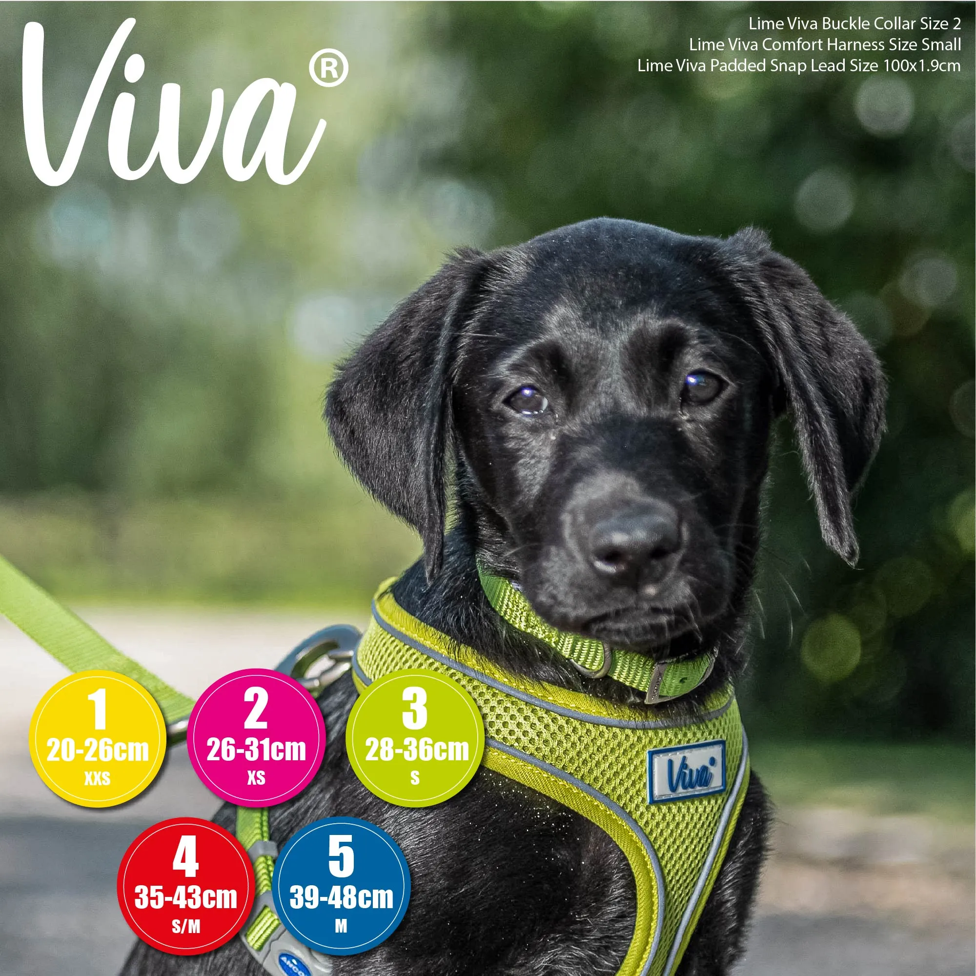 Ancol - Viva Nylon Buckle Collar - Black - Size 5 (39-48cm)