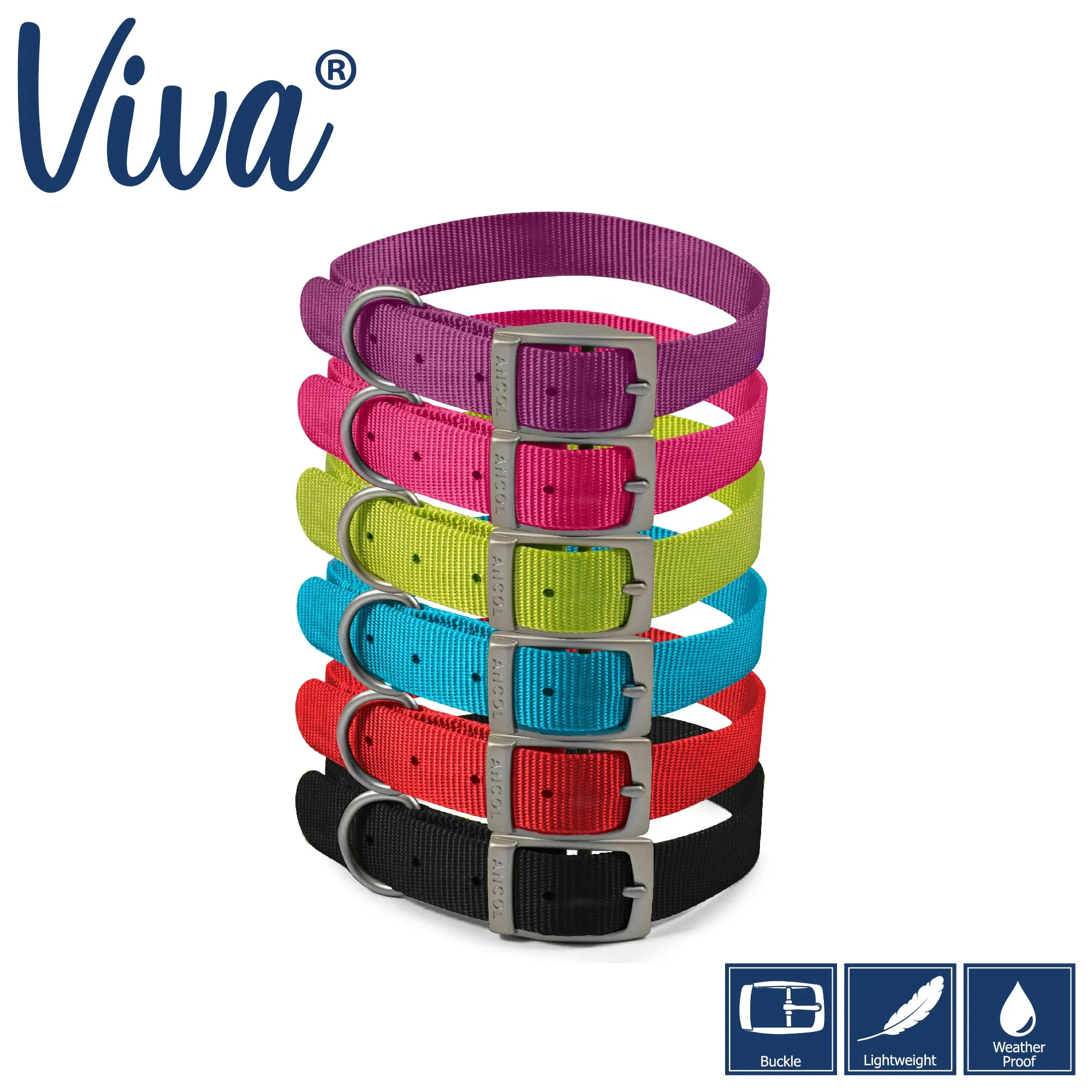 Ancol - Viva Nylon Buckle Collar - Black - Size 5 (39-48cm)