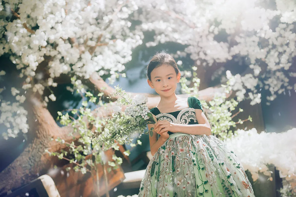 Anna Green Lace Gown