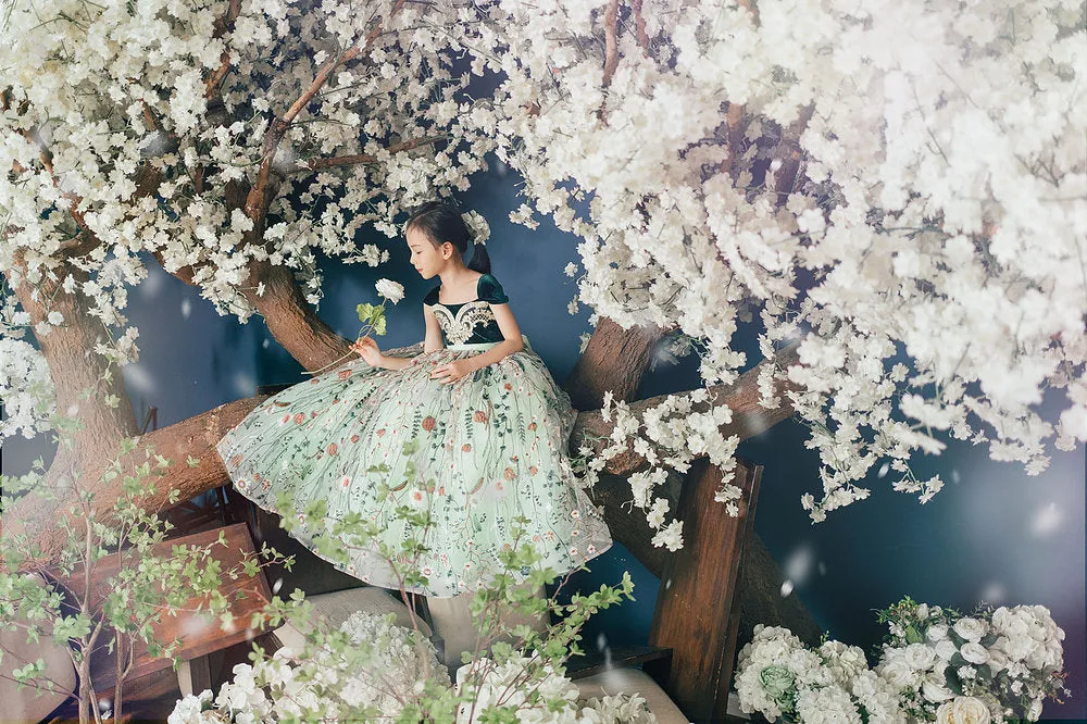 Anna Green Lace Gown