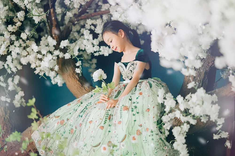 Anna Green Lace Gown