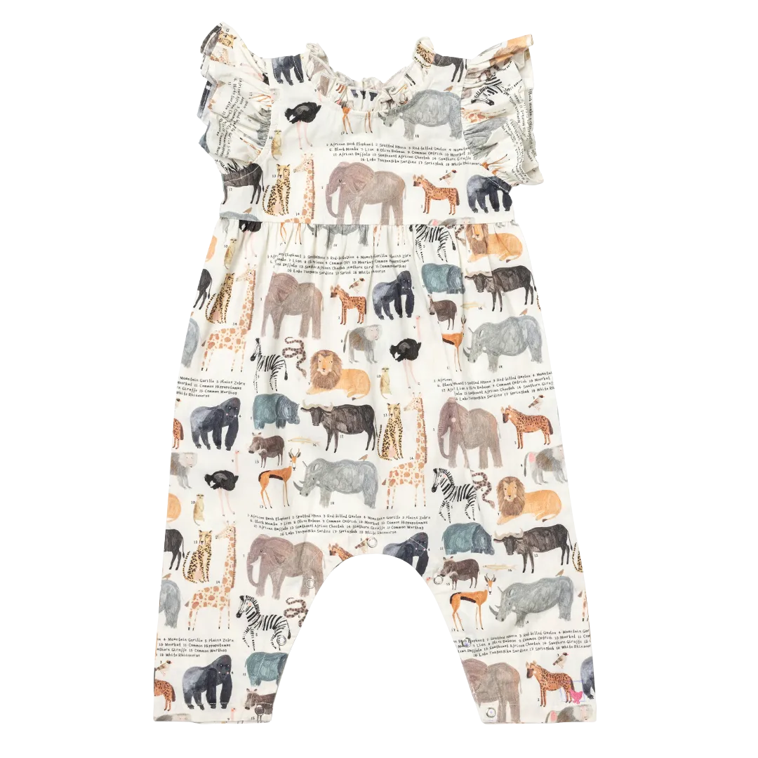 Baby Girls Jennifer Jumper - Animals of Africa