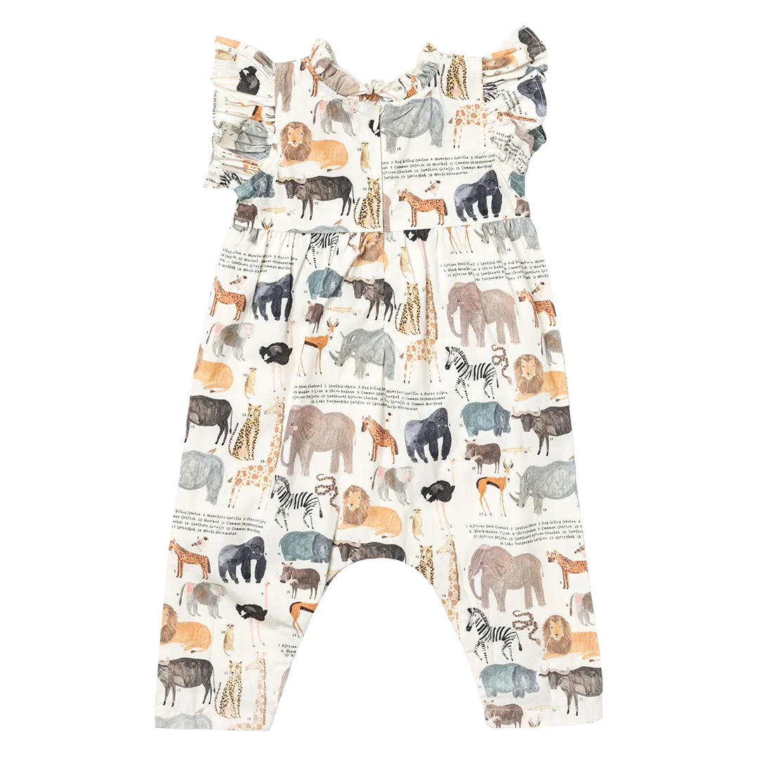 Baby Girls Jennifer Jumper - Animals of Africa