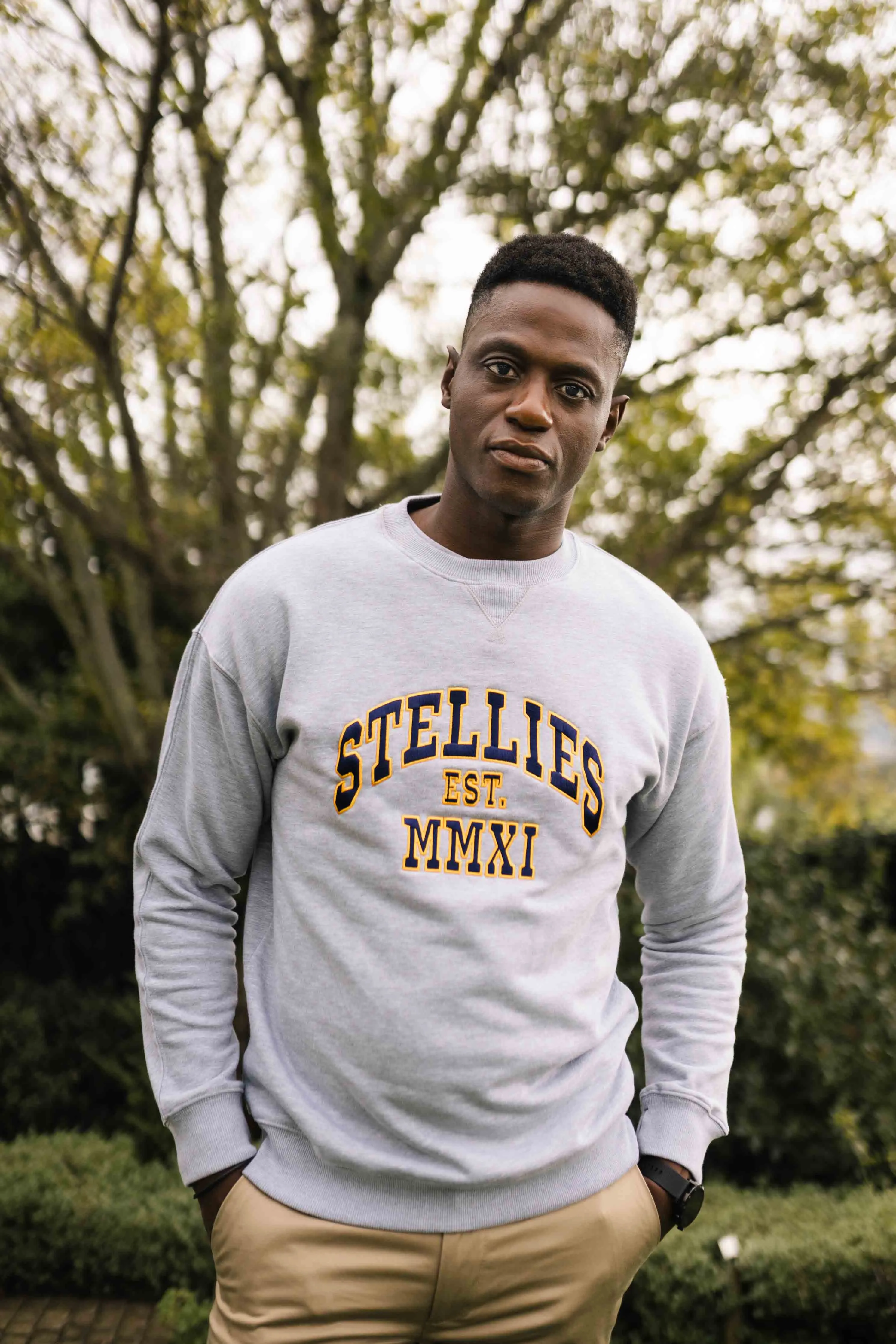Champion's Pullover