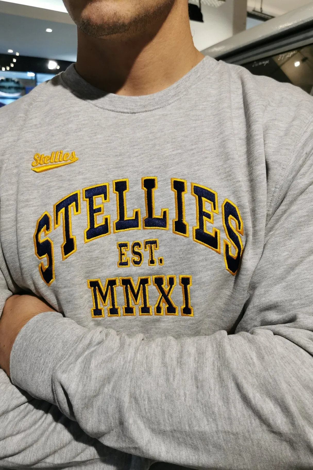 Champion's Pullover