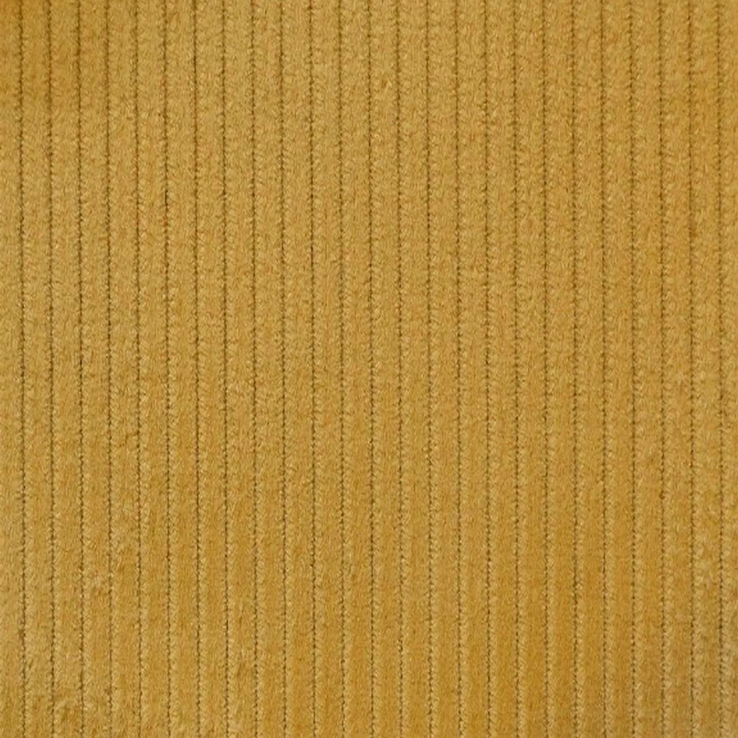 Mucky Gold 8 Wale Corduroy 100% Cotton