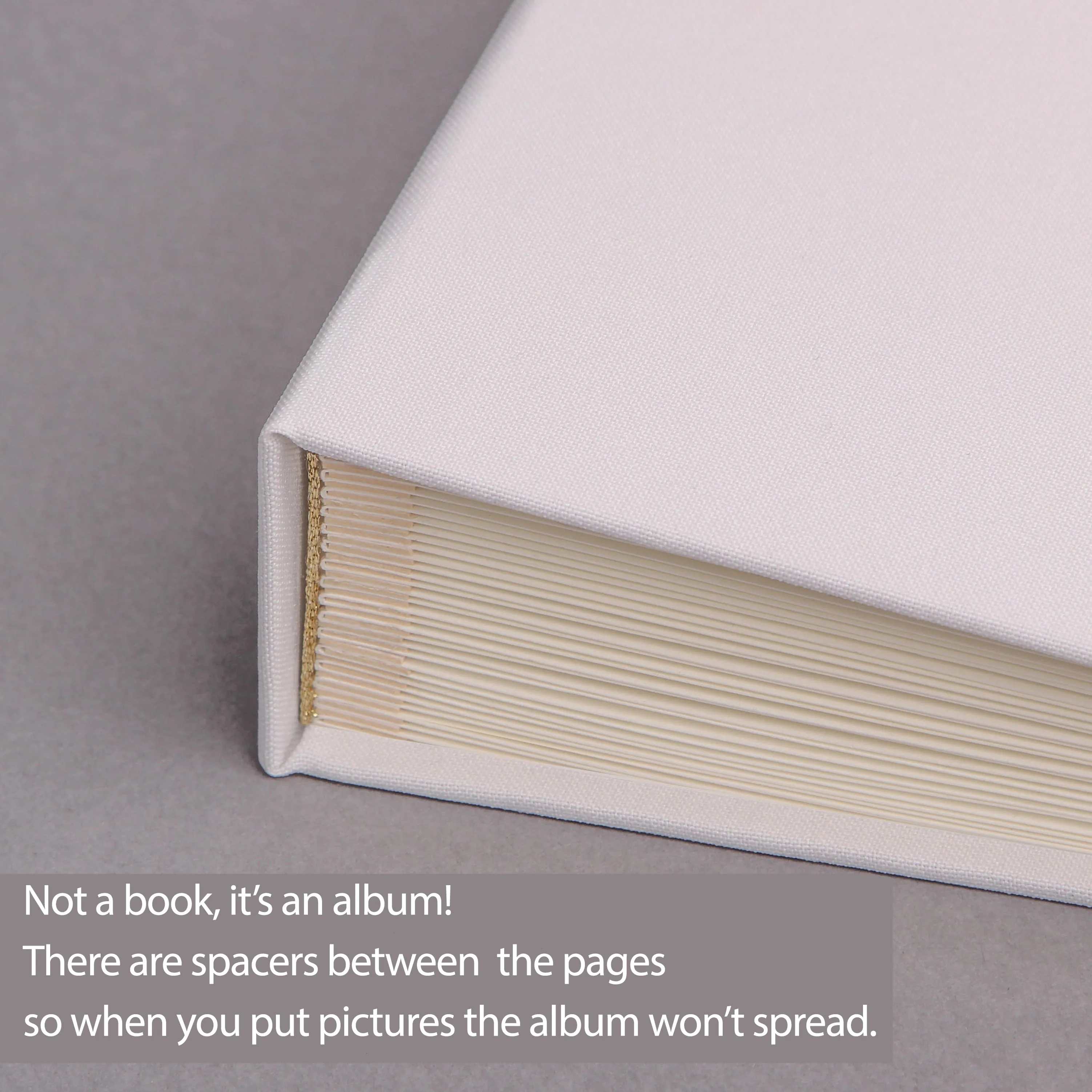 White   Gray Velour | Guest Book